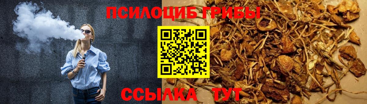 Псилоцибиновые грибы Cubensis Нововоронеж