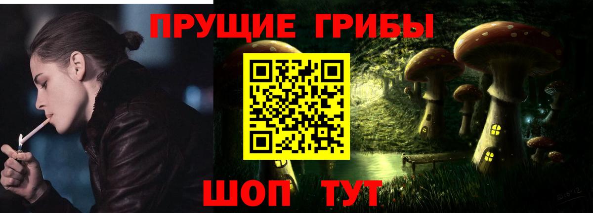 Нововоронеж  Псилоцибиновые грибы MAGIC MUSHROOMS  Вход с VPN 